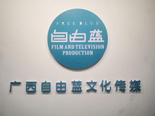 央媒品牌天下播報 全國亞健康標準化建設新聞發布會在廣西南寧召開，創意策劃引領健康新紀元